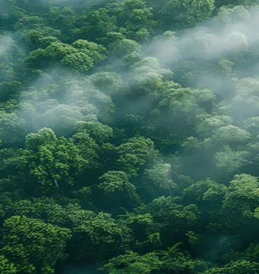 Ambiental
